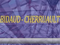 Logo de Bidaud Cherruault 