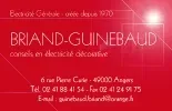 Logo de Briand Guinebaud | Electricien Angers - Bouchemaine - Les Ponts de Cé