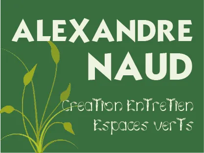Logo de Naud Alexandre 