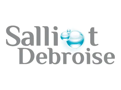 Logo de Salliot Debroise | Entretien - Dépannage - Chaudière - Fougères
