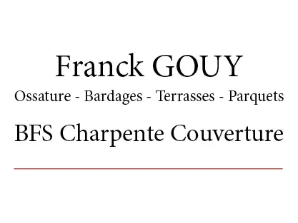 Logo de BFS Franck Gouy 