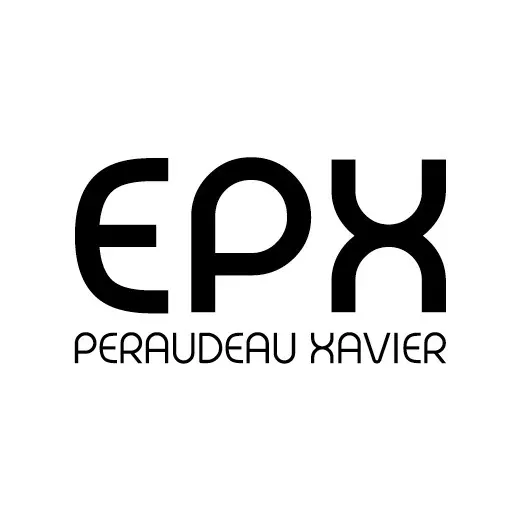 Logo de Peraudeau Xavier | Électricien - Pose Domotique Oudon - Ancenis