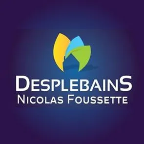 Logo de DESPLEBAINS | Plomberie - Chauffage - Électricité Châtellerault