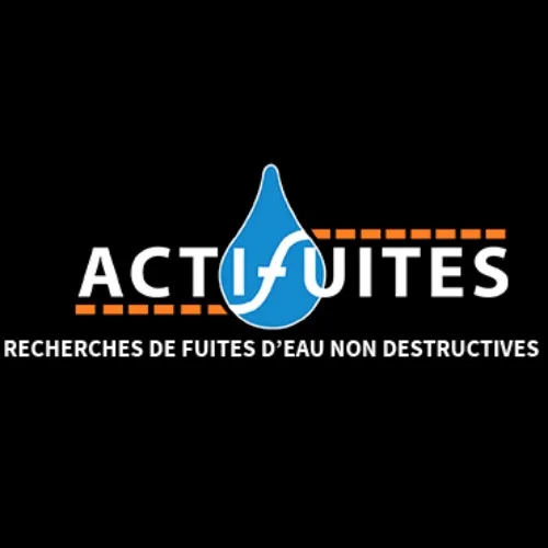 Logo de ACTIFUITES 