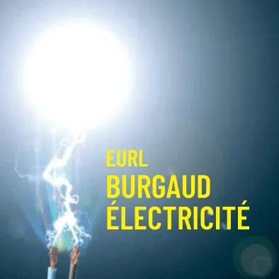 Logo de Burgaud Électricité | Alarme - Domotique Port-Saint-Père - Le Pellerin