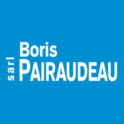 Logo de Pairaudeau Boris | Électricien - Pose Alarme Saint Hilaire de Riez